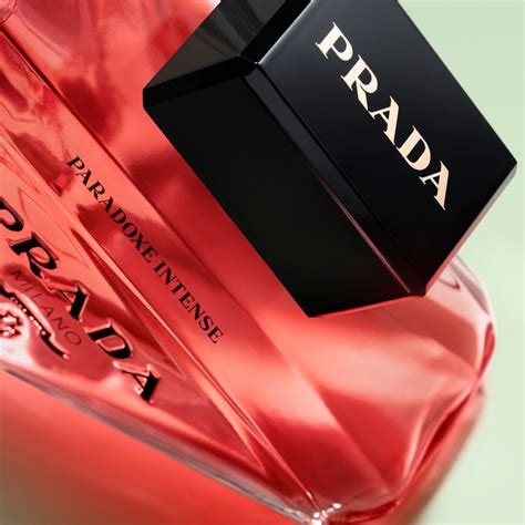 cheapest Prada paradoxe